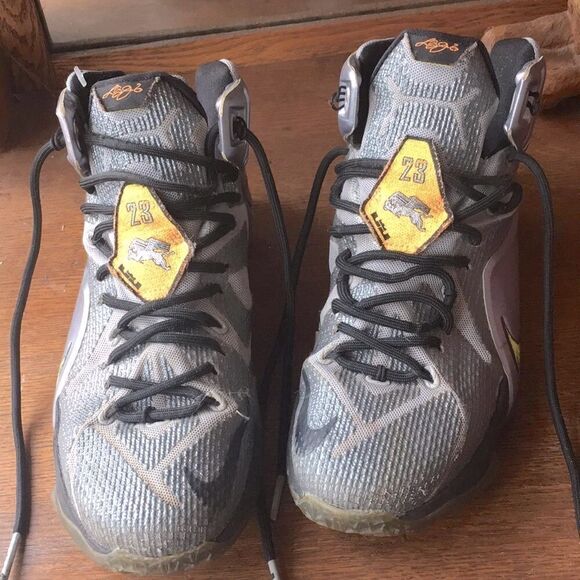 Nike Other - Nike Lebron Shoes